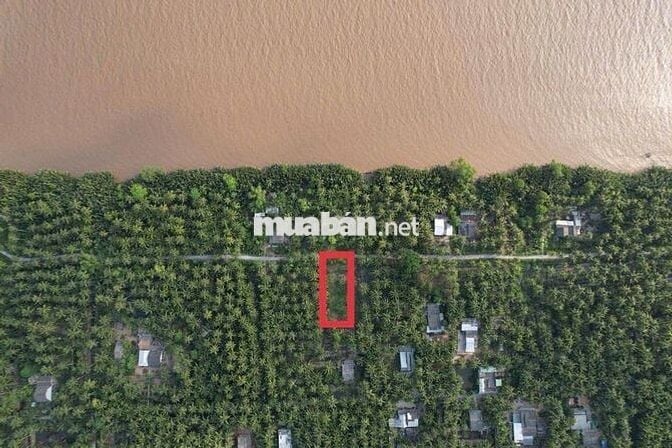 Đất thổ cư view sông 300m2 giá rẻ chỉ 339tr tại Tiền Giang cách SG70km