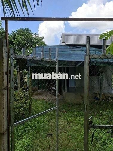 Bán Đất ruộng đã lên vườn ở Mương Hội Đồng Thu, Phường Mỹ Hoà cũ, AG