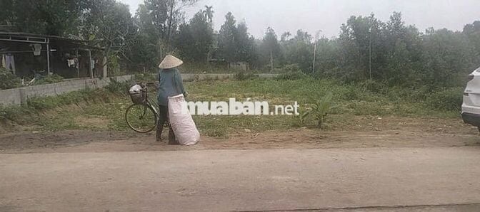 Cần tiền gấp bán lô đất tại triệu Thành triệu sơn,TH  320m giá 550tr