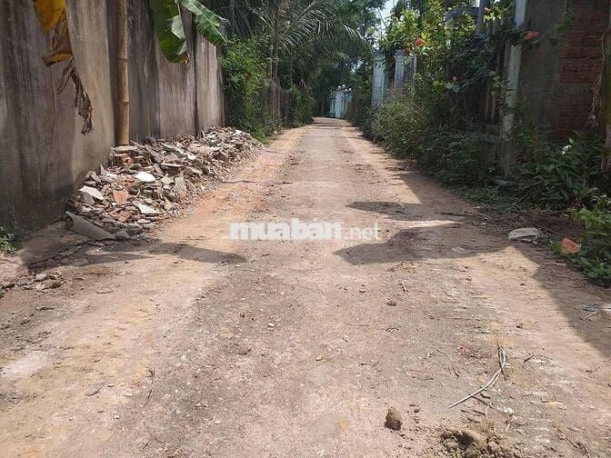 Chính chủ bán lỗ lô đất giá rẻ nhất thị trường không qua trung gian