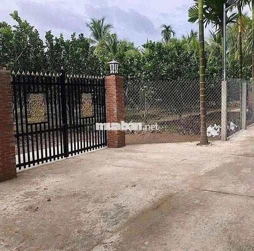 Trước vk ck em cho thuê 1năm 40 triệu bây giờ miếng đất để không nhìn