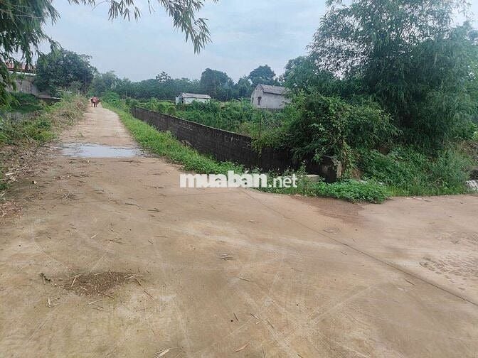 Chính chủ bán lô góc 1760 m2 .phú thành lạc thủy