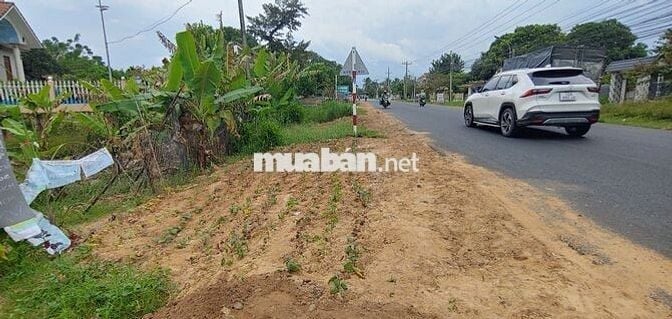 Bán đất sổ hồng 6 x 20 m mặt tiền Quốc lộ 55 cũ