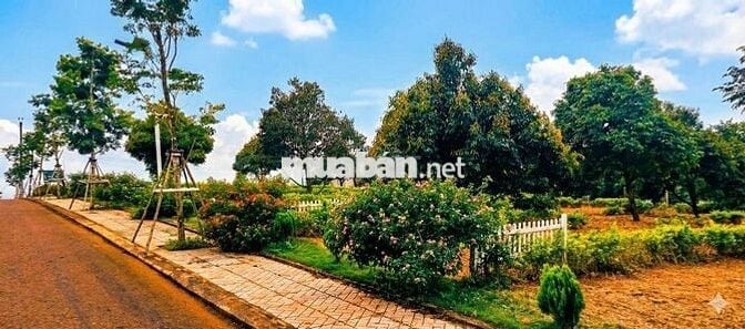 🌿Em cần bán lô đất view săn mây gần TP Bảo Lộc