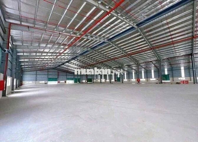 🌾CHO THUÊ KHO XƯỞNG LONG AN (tây ninh mới)