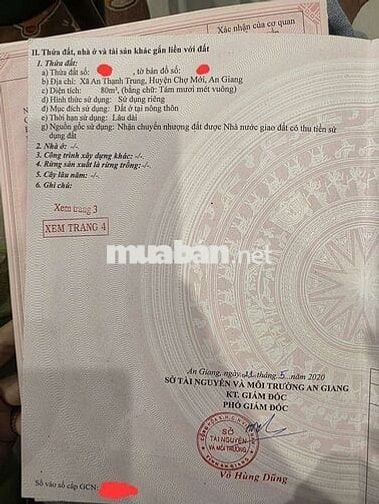 Chính chủ đất thổ cư đẹp vuông vứt Chợ Mới,Tân Châu,