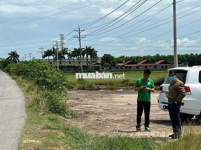 Chính chủ cần bán 2480m2 Full thổ cư Lợi Thuận - Bến Cầu - Tây Ninh