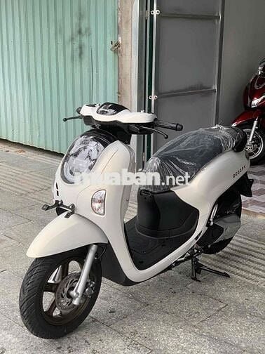 Honda Scoopy Trắng Mới 100%