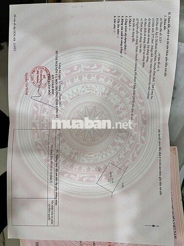 Bán đất 1184m2, gần chợ Bình Hoà Nam, Đức Huệ, Long An