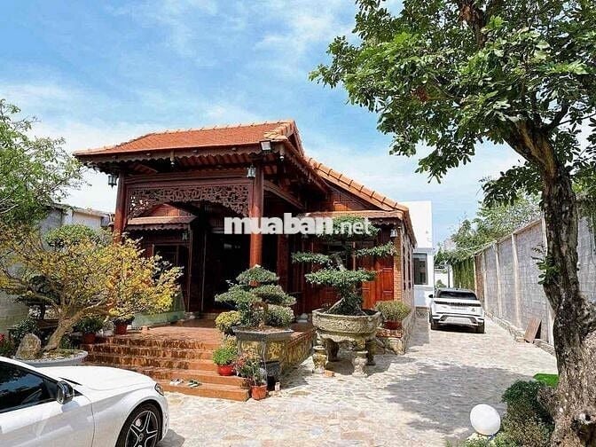 Giảm chốt Biệt Phủ Hồ Bơi Trung Tâm Thủ Dầu Một|14x76|Full gỗ cao cấp