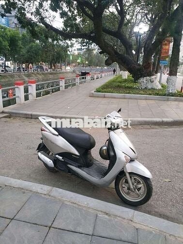 Honda Lead 2011 Bạc