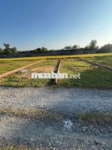 Đất Hậu Nghĩa , Đức Hoà 600triệu/lô 85m2 Full thổ cư,SHR.