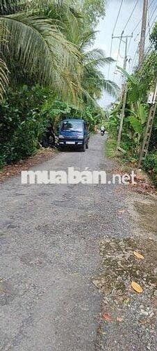 Bán 1 hecta đất trồng sầu riêng đồng tháp mặt tiền 9m