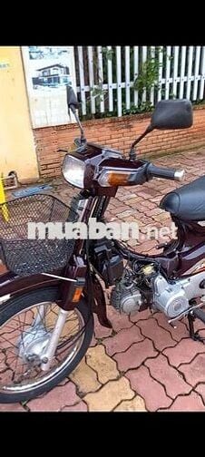 Honda Dream II Nâu đỏ Đã sử dụng