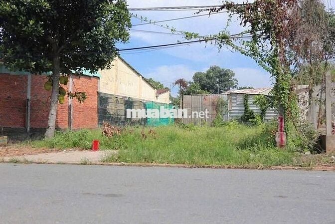 BÁN ĐẤT GIÁ RẺ NGAY TTHC BÀU BÀNG 150M2 - SHR ĐANG CHO THUÊ MẶT BẰNG