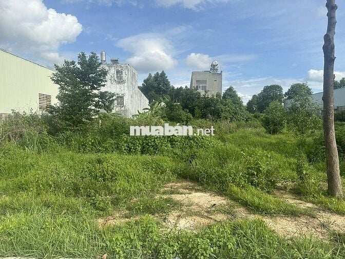 Bán Đất Giá Rẻ Lai Uyên Bàu Bàng 520tr 500m2 có 100 thổ cư đường lớn