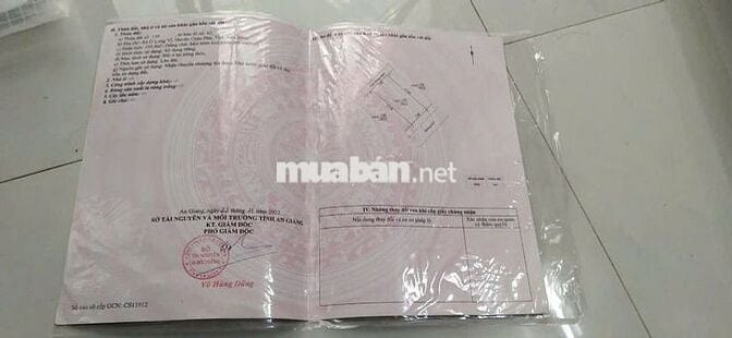 [BÁN GẤP] NHÀ VƯỜN KÉP 210M2 – MT 14M TẠI CHÂU PHÚ – DỌN VÀO Ở NGAY!