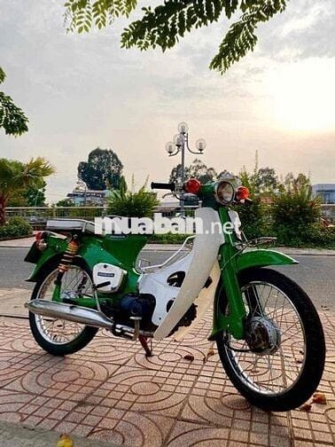 Honda Cub Xanh lá Trắng