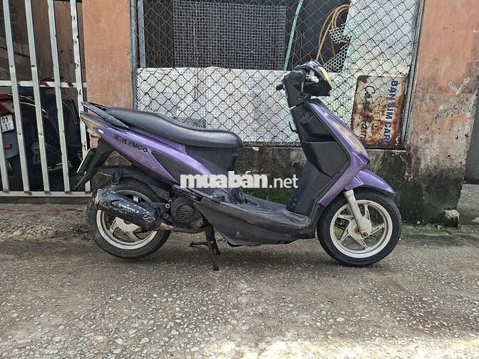 50c ko cần bằng lái