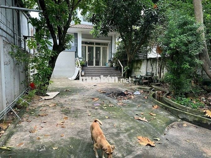 Cho thuê mặt bẳng kinh danh buôn bán apđ vườn lài