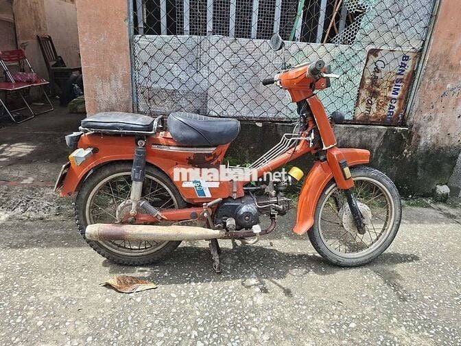 50c ko cần bằng lái