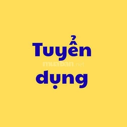 TUYẾN NHÂN VIÊN HÀNH CHỈNH NHÂN SỰ 