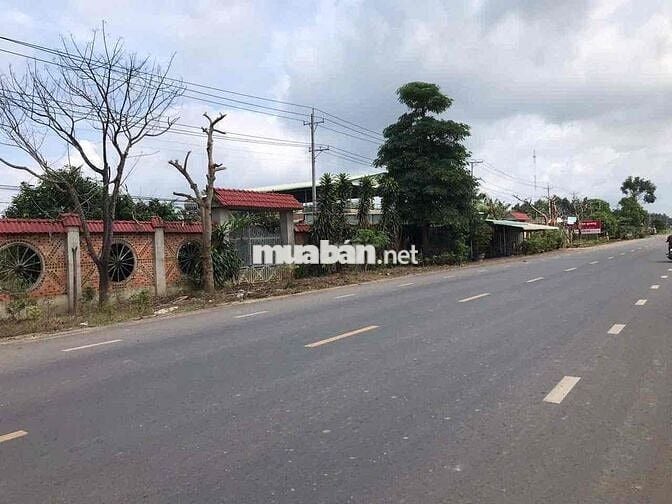 cần bán gấp lô đất mặt tiền đường 793