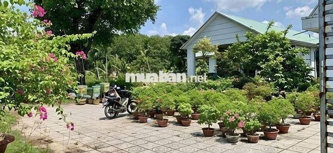🌿 BÁN NHÀ VƯỜN SINH THÁI 10.000m² SẴN NHÀ LỚN - ĐƯỜNG NHỰA CỰC ĐẸP, ĐN