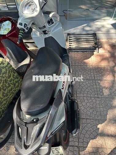 VISION XI MĂNG 2024