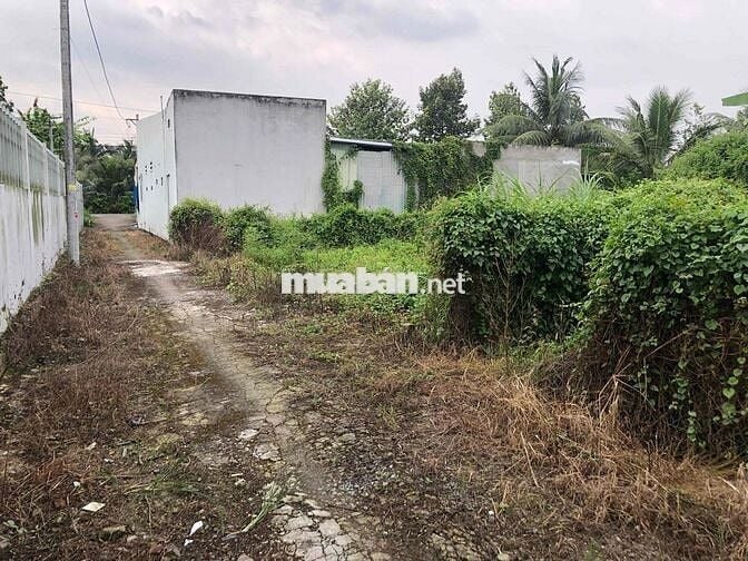 Đất nền đường Thạnh Hoà, Long Hoà B, Đạo Thạnh cách Hương Sen 150m