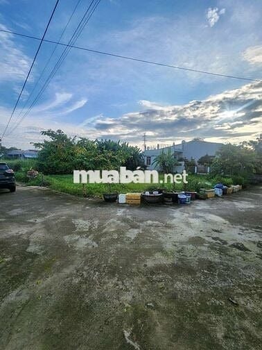 1000m2 300m2 đất ở Đại Cường, Đại Lộc Cũ