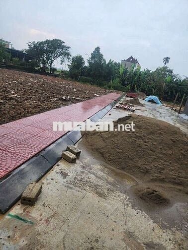 Triệu Sơn - Vân Sơn 👉Vị trí không thể đẹp hơn ❤