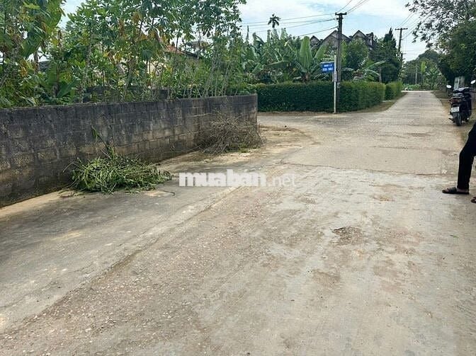 bán đất nền thổ cư hợp tiến triệu sơn thanh hóa