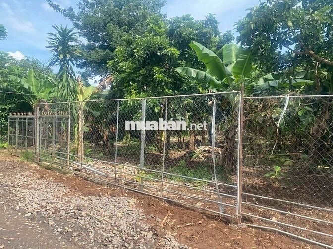 35m mặt tiền, hơn 115m suối bao sau đất. Trồng Sầu riêng, Chuối, Bơ