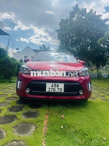 soluto số sang bản đủ