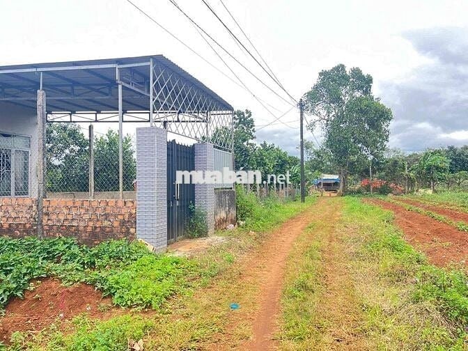 Đất hẻm Ỷ Lan, 7x35, đất nn giá 350triệu