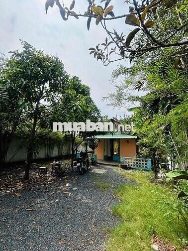 CHÍNH CHỦ CHO THUÊ BIỆT THỰ MINI