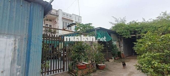 Chính chủ Cho thuê nhà nguyên căn rộng rãi, gần chợ Phú Thuận, Quận 7