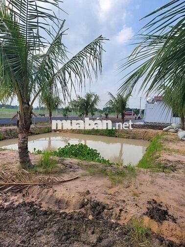 CHỦ CẦN TIỀN BÁN GẤP LÔ ĐẤT XÃ LỢI THUẬN, TÂY NINH 1400M2 GIÁ 1 TỶ