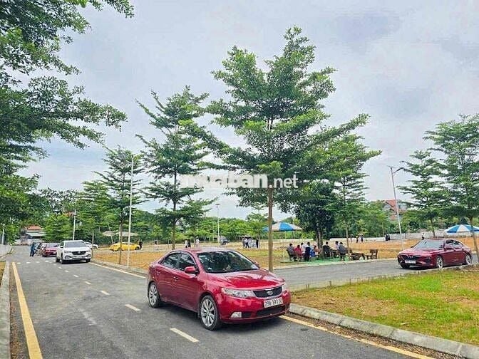 Bán đất đối diện cổng ĐH Quốc Gia, trục chính, full thổ cư, 100m2
