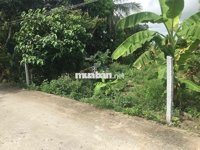 Đất thổ cư tại Kênh C, Núi Sập