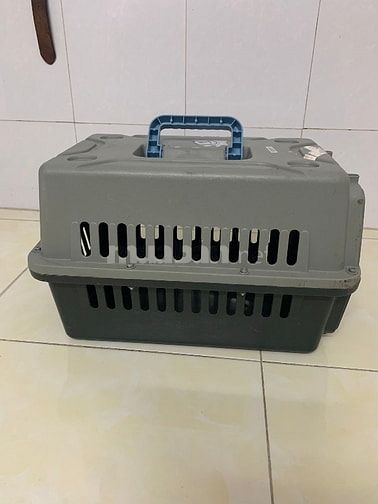 Lòng nhựa đựng chó đã qua sử dụng