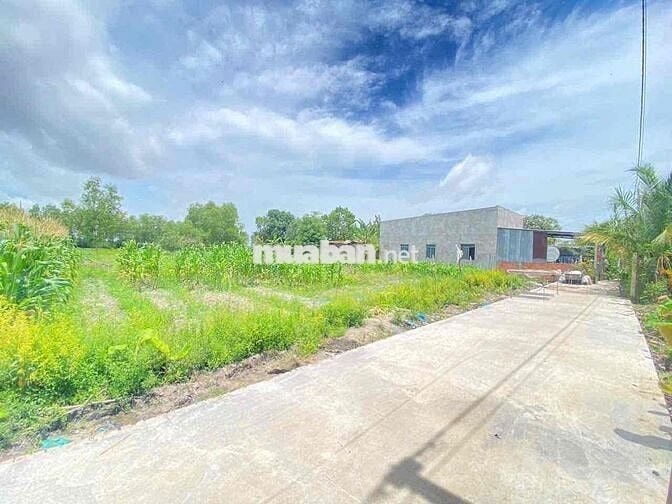 ĐẤT THỔ CƯ 271m2 đường bê tông trung tâm Óc Eo