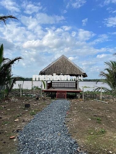 🌿 Bán nhà vườn mini giáp sông 617m2, ô tô tới nơi, 890 triệu