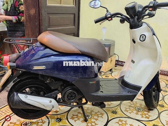 Honda Today 50cc Xanh Trắng