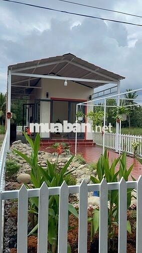 Căn nhà vườn 149,8m ² giá chỉ 670tr có sẵn nhà mới, giữ tiền an toàn