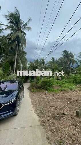 Đất thổ cư giáp rạch giá rẻ Tân Phú Đông – 170m² chỉ 260 triệu, sổ sẵn