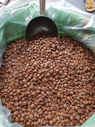 Cần tuyển 5 Nam ldpt, đóng gói