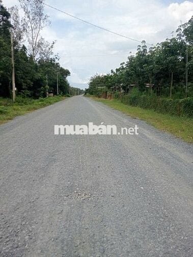 BÁN ĐẤT RẪY CAO SU 4 NĂM – 2 MẶT TIỀN ĐƯỜNG ĐẸP -Chính chủ 916.737.488