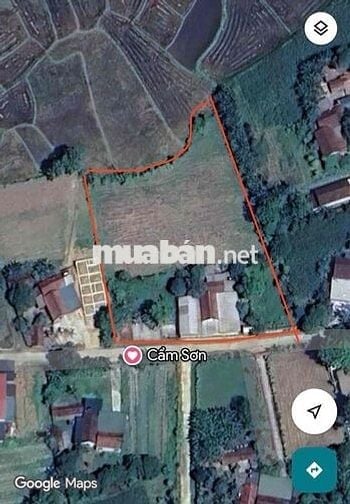 Bán ~4000m2 Đất Quê có Thổ Cư chỉ 875nghìn/m2